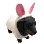 Dress Your Puppies - Just Toys