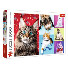 Παζλ Κολάζ με Γάτες (1000 Κομμάτια) - Trefl Παζλ Κολάζ με Γάτες (1000 Κομμάτια) - Trefl