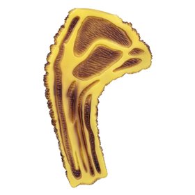 Παιχνίδι Σκύλου Μπριζόλα 22 cm