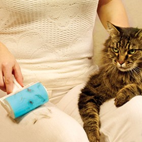 Ρολό Καθαρισμού Ρούχων 10 εκ.