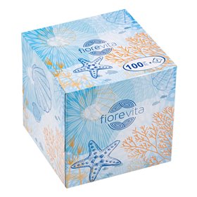 Χαρτομάντηλα Κουτί Κύβος 2 ply Αστερίας - 100 τμχ.