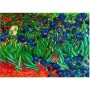 Diamond Dotz Irises Van Gogh Καμβάς Diamond Painting Κιτ