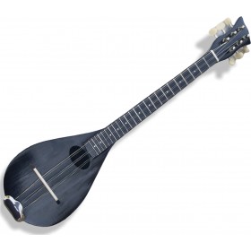 Bouzouki Lab 6-χορδος