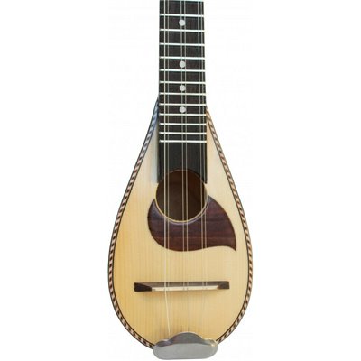 Echowood BG-1 inter