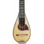 Echowood BG-1 inter