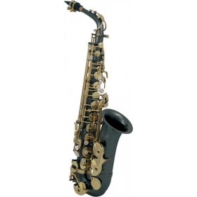 Roy Benson AS-202K Alto Saxophone - Anthracite Roy Benson AS-202K Alto Saxophone - Anthracite