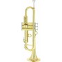 pTrumpet Hytech