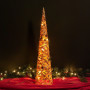 Χριστουγεννιάτικο Φωτιζόμενο Δέντρο Κώνος Πεύκο Berries 20 Λαμπάκια 24x100 cm