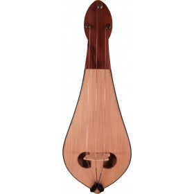 Πολίτικη Λύρα DM-1 standard