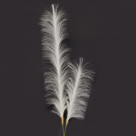 Κλαδί Φτερό Διακοσμητικό Pampas Εκρού 123 cm