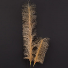Κλαδί Φτερό Διακοσμητικό Pampas Μπεζ Καφέ 123 cm