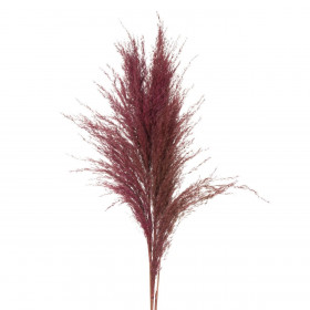 Κλαδιά Φτερά Διακοσμητικά Pampas Dusty Pink 88 cm - 3 τμχ.