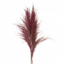 Κλαδιά Φτερά Διακοσμητικά Pampas Dusty Pink 88 cm - 3 τμχ.