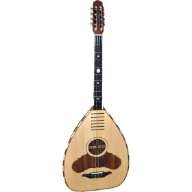 Στεριανό Λαούτο LTS-101