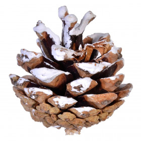 Σετ Διακοσμητικά Κουκουνάρια Χιονισμένα Berries 5cm - 20 τμχ.