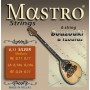 Mastro Silver 6 String Bouzouki &amp Tzoura 11-24