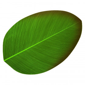 Σουπλά Καλοκαιρινό Φύλλο Αληθοφανές 47x31 cm Σουπλά Καλοκαιρινό Φύλλο Αληθοφανές 47x31 cm