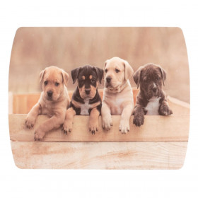 Κουτάλα Σερβιρίσματος Ανοξείδωτο Ατσάλι 32 cm