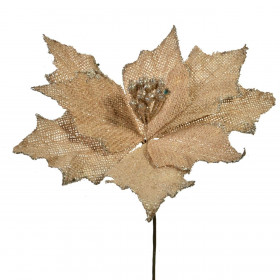 Χριστουγεννιάτικο Λουλούδι Αλεξανδρινό Λινάτσα 25 εκ.