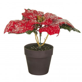 Χριστουυγεννιάτικο Αλεξανδρινό Χιόνι 14 εκ.