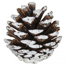 Σετ Διακοσμητικά Κουκουνάρια Χιονισμένα 5cm - 20 τμχ.