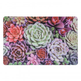 Σουπλά Πλαστικό Χρωματιστά Παχύφυτα 43.5x28.5 cm Σουπλά Πλαστικό Χρωματιστά Παχύφυτα 43.5x28.5 cm