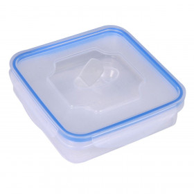 Φαγητοδοχείο Διάφανο Καπάκι 500 ml
