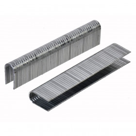 Καρφιά/Δίχαλα - 900 τμχ.