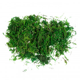 Χριστουγεννιάτικο Διακοσμητικό Γρασίδι Πράσινο 30 g Χριστουγεννιάτικο Διακοσμητικό Γρασίδι Πράσινο 30 g