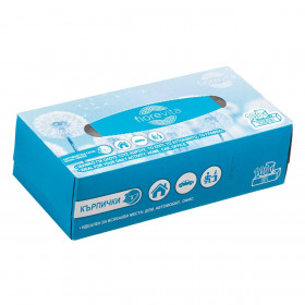 Χαρτομάντηλα Κουτί Δύο Φύλλων Fiorevita - 100 τμχ.