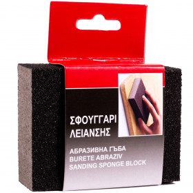 Σφουγγάρι Λείανσης 10 εκ.