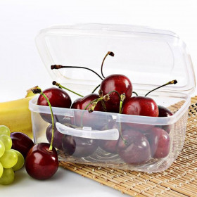 Φαγητοδοχείο Διάφανο 350 ml