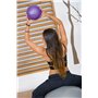 Μπάλα Γυμναστικής AMILA Pilates Ball 19cm Μωβ Bulk