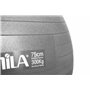 Μπάλα Γυμναστικής AMILA GYMBALL 75cm Γκρι Bulk