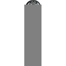 Τροχοσανίδα Skateboard AMILA Skatebird Skull Τροχοσανίδα Skateboard AMILA Skatebird Skull