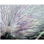 Συνθετικές ίνες Saltwater Angel Hair pearl Sybai