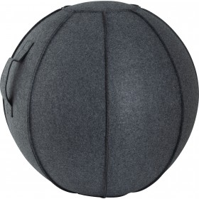 Κάλυμμα για Μπάλα Γυμναστικής AMILA GYMBALL 75cm