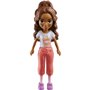 Mattel Polly - Νεα Κουκλα Με Μοδες Mini Pack Lama Fashion 