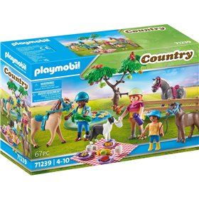 Playmobil Country Πικ Νικ Στην Εξοχή 
