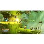 UBISOFT NSW Rayman Legends Definitive Edition Nintendo Code In Box 