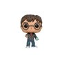 Funko Pop! Harry Potter - Harry Potter with Prophecy 32 Vinyl Figure 