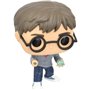 Funko Pop! Harry Potter - Harry Potter with Prophecy 32 Vinyl Figure 