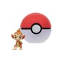 Jazwares Pokemon - Poke Ball Clip N Go με φιγούρα Chimchar with Poke ball 