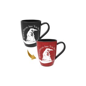 GIOCHI PREZIOSI Harry Potter Κούπες (4 Χρώματα) - 1 τμχ 