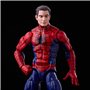 Hasbro Marvel Legends Series Spider-Man 15-Cm Spider-Man And Marvels Spinneret 