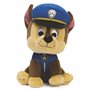 Spin Master Paw Patrol Moto Pups Hero Pup (15Cm) - 1 Τμχ 