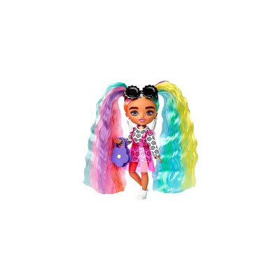 Mattel Barbie Extra Minis Doll 2 (5.5 In) - Daisy Rainbow Pigtails Doll 