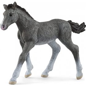 Schleich Horse Club Πουλάρι Trakehner  Schleich Horse Club Πουλάρι Trakehner