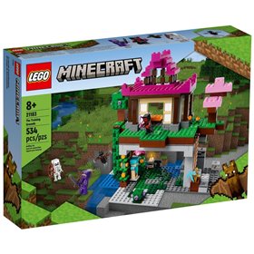 LEGO Minecraft Ο Χώρος Προπόνησης 