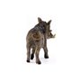 Schleich Wild Life Warthog Μινιατούρα Αγριόχοιρος 